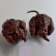 Carolina Reaper Chocolate