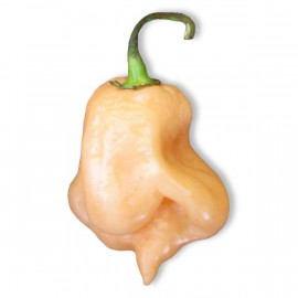 Trinidad Scorpion Peach