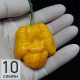 Trinidad Scorpion Yellow